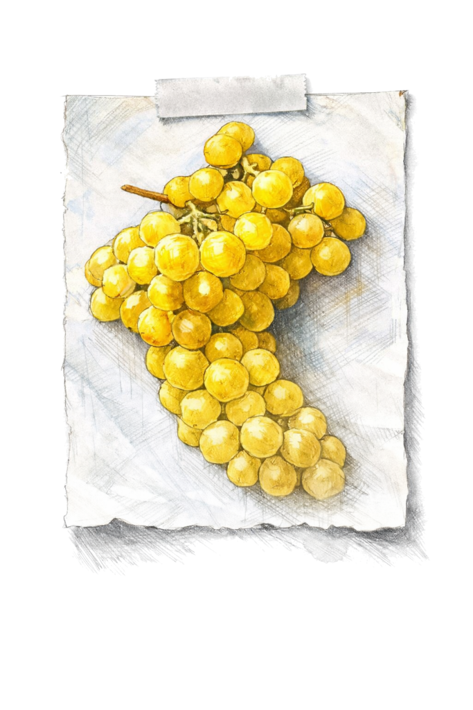 4c28f422 0607 4423 9991 7ee6e7886d79.part1