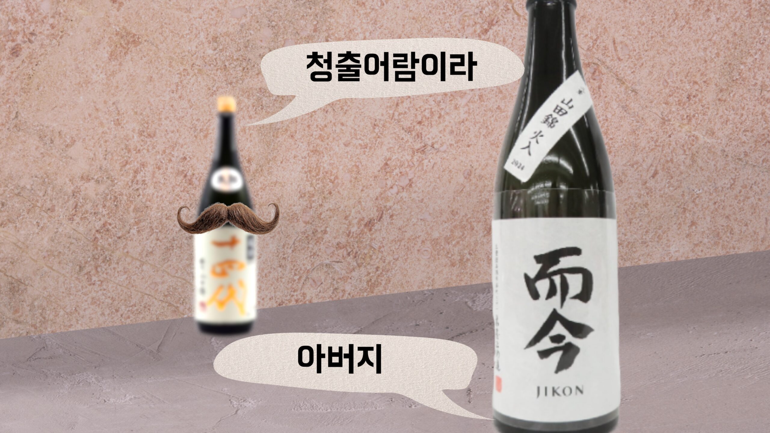 지콘