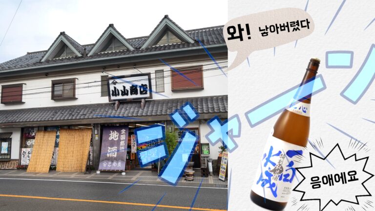 잇파쿠 스이세이 탄생