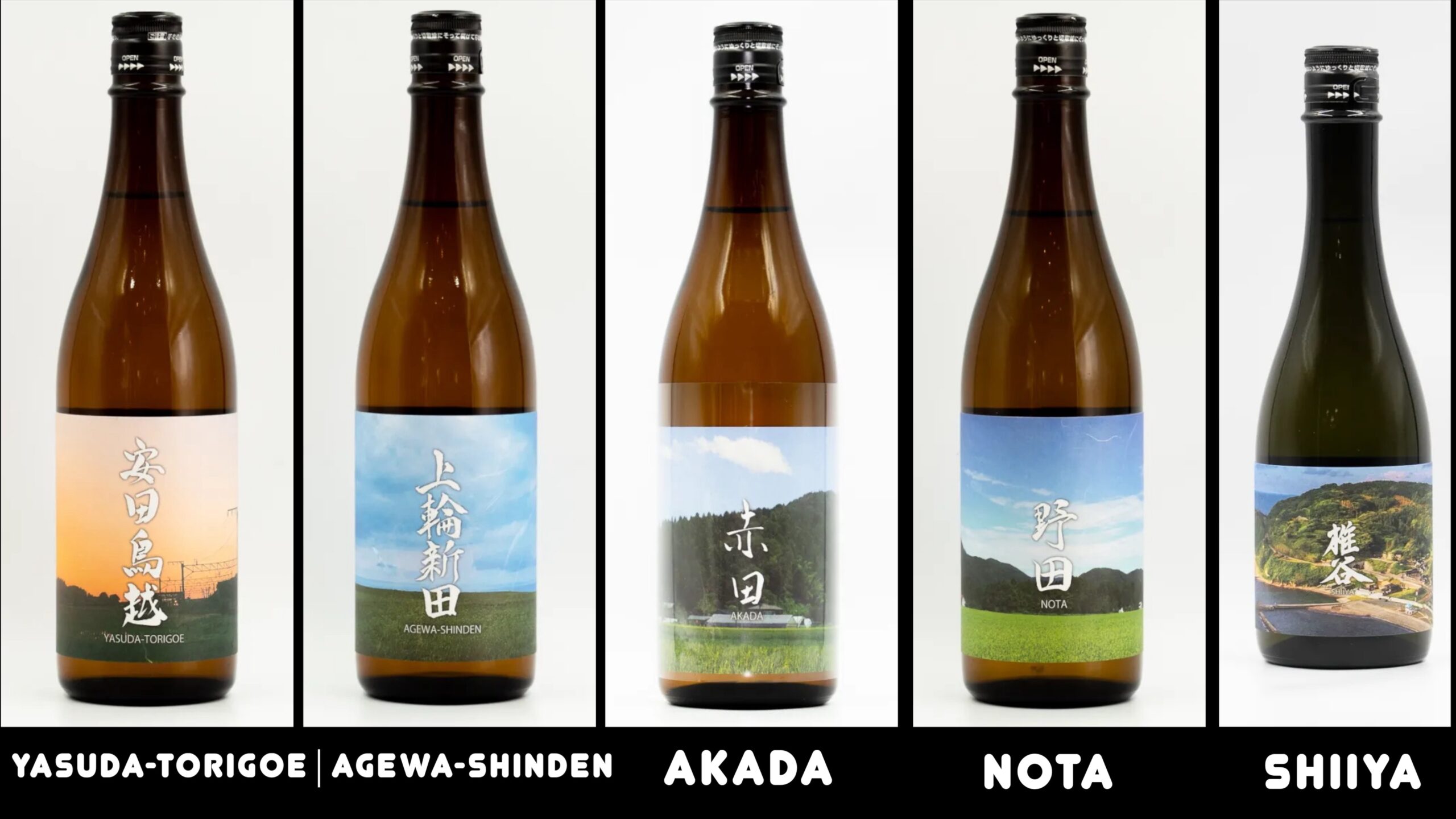 yasuda torigoe agewa shinden